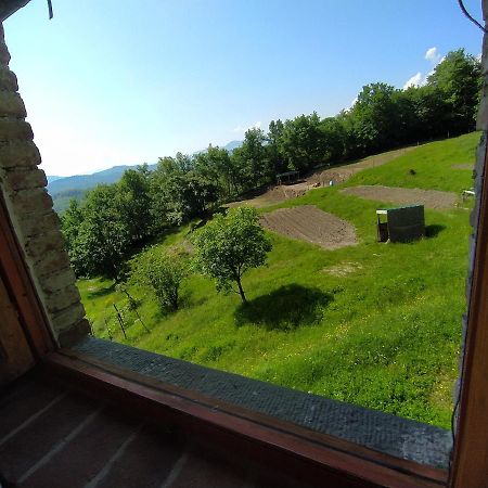 Agriturismo Paneolio Villa Collemandina Exteriör bild