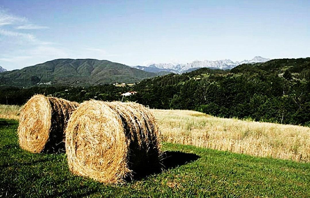 Agriturismo Paneolio Villa Collemandina Exteriör bild