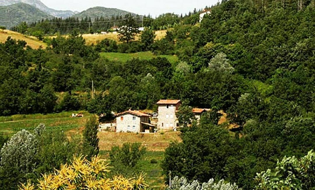 Agriturismo Paneolio Villa Collemandina Exteriör bild