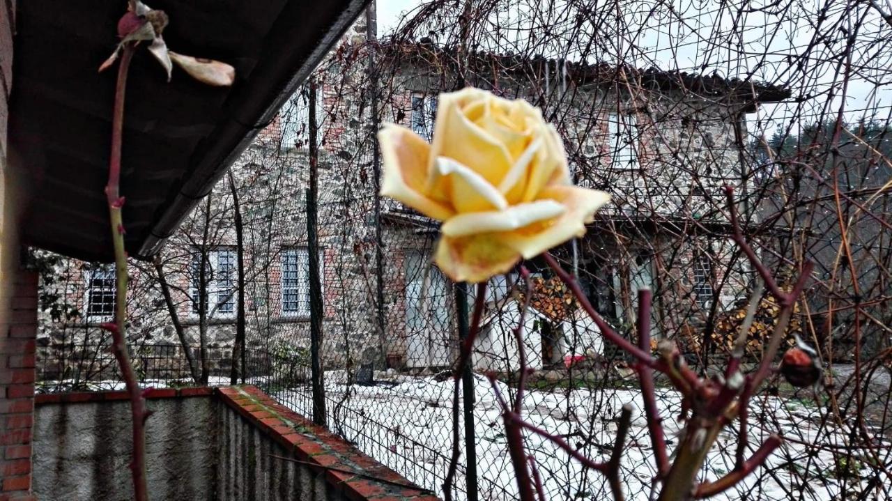 Agriturismo Paneolio Villa Collemandina Exteriör bild