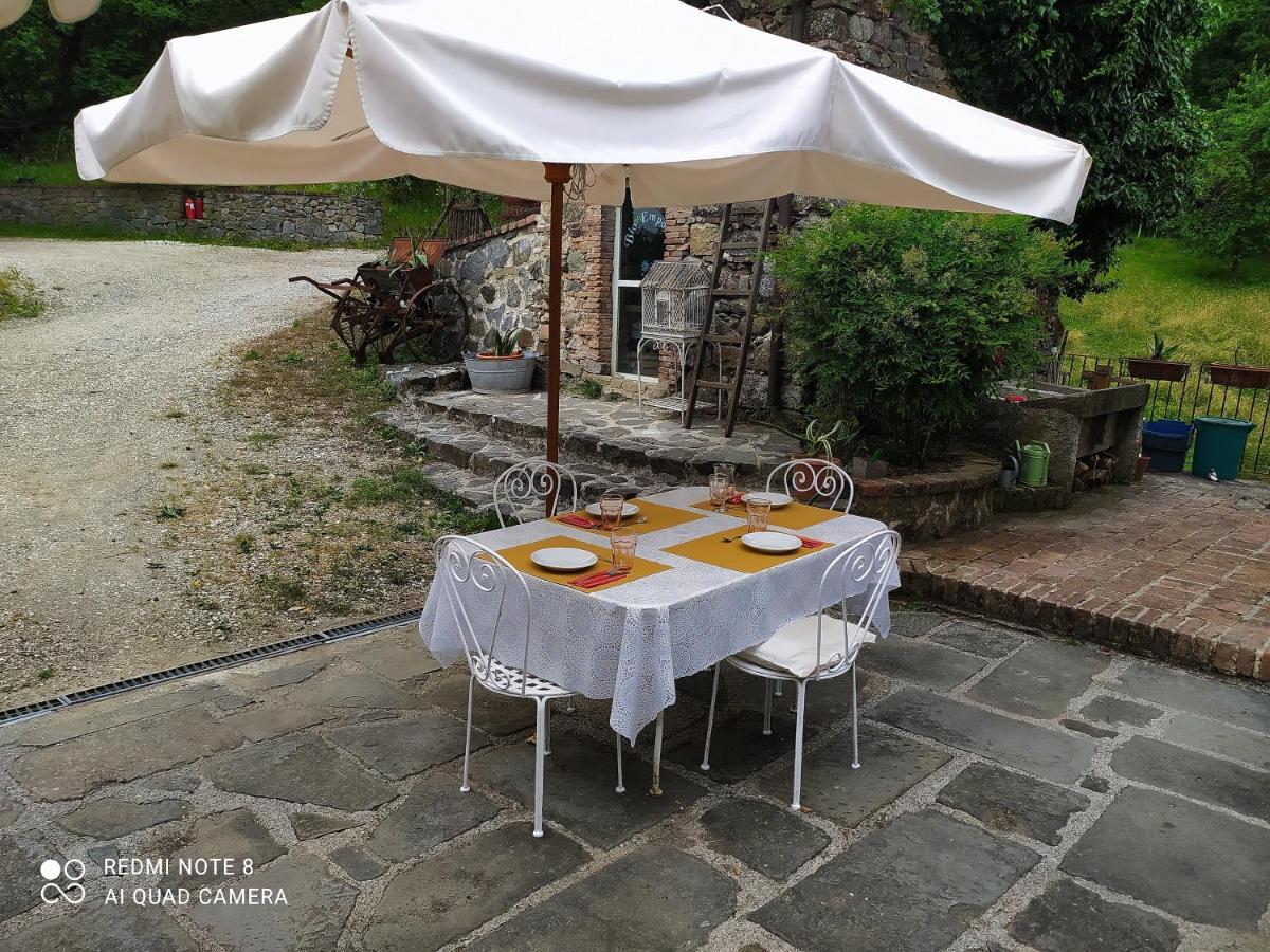 Agriturismo Paneolio Villa Collemandina Exteriör bild