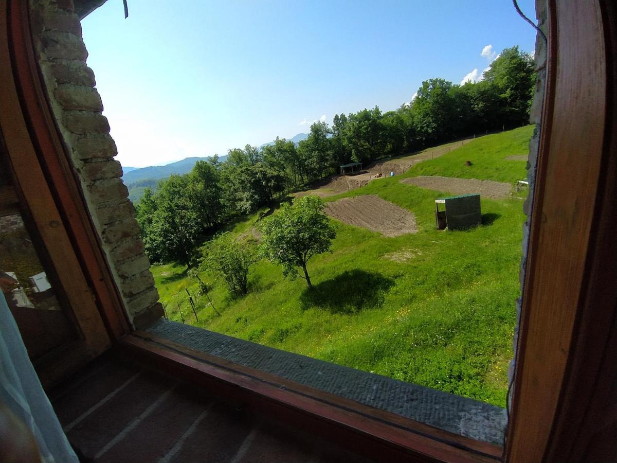 Agriturismo Paneolio Villa Collemandina Exteriör bild